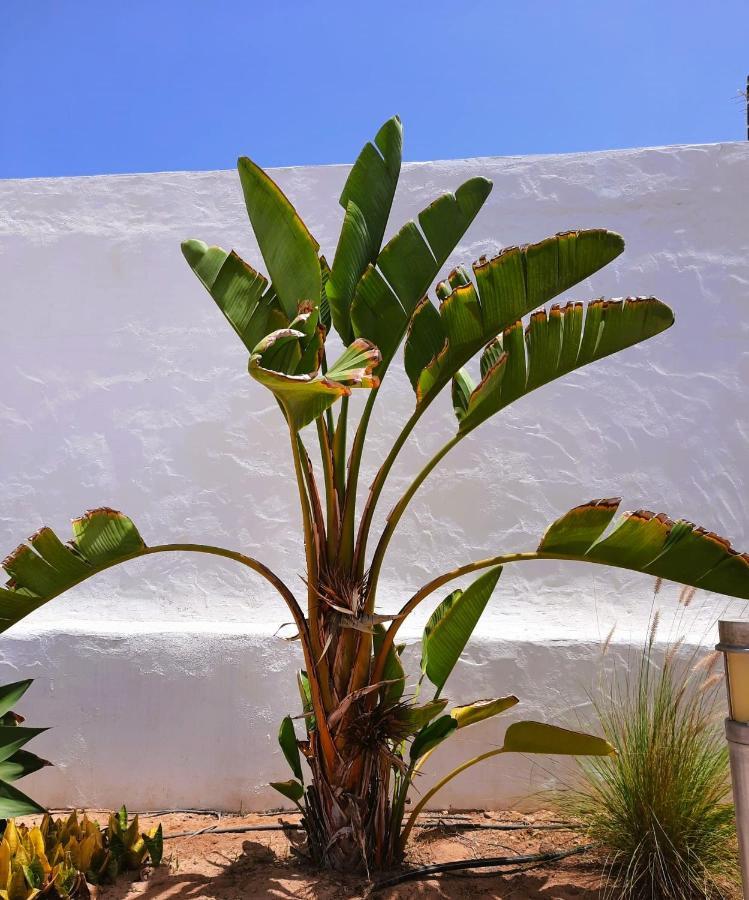 Апартаменты Casa Vivi Fuerteventura Коральео Экстерьер фото