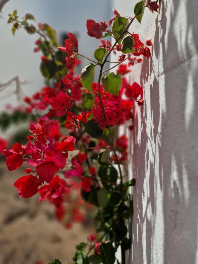 Апартаменты Casa Vivi Fuerteventura Коральео Экстерьер фото